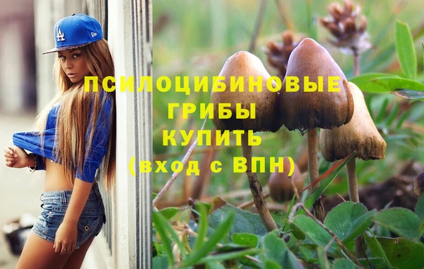 героин Абаза