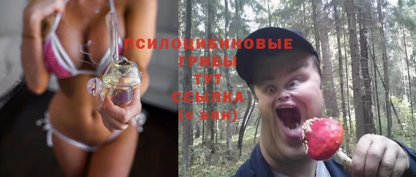 твердый Абинск