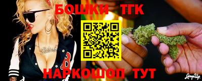 молекула духа Шелехов