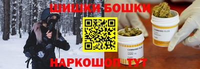 молекула духа Шелехов