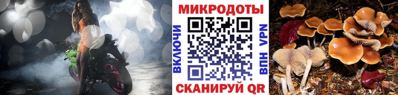 площадка наркотические препараты  Усть-Кут  Галлюциногенные грибы GOLDEN TEACHER  kraken сайт 
